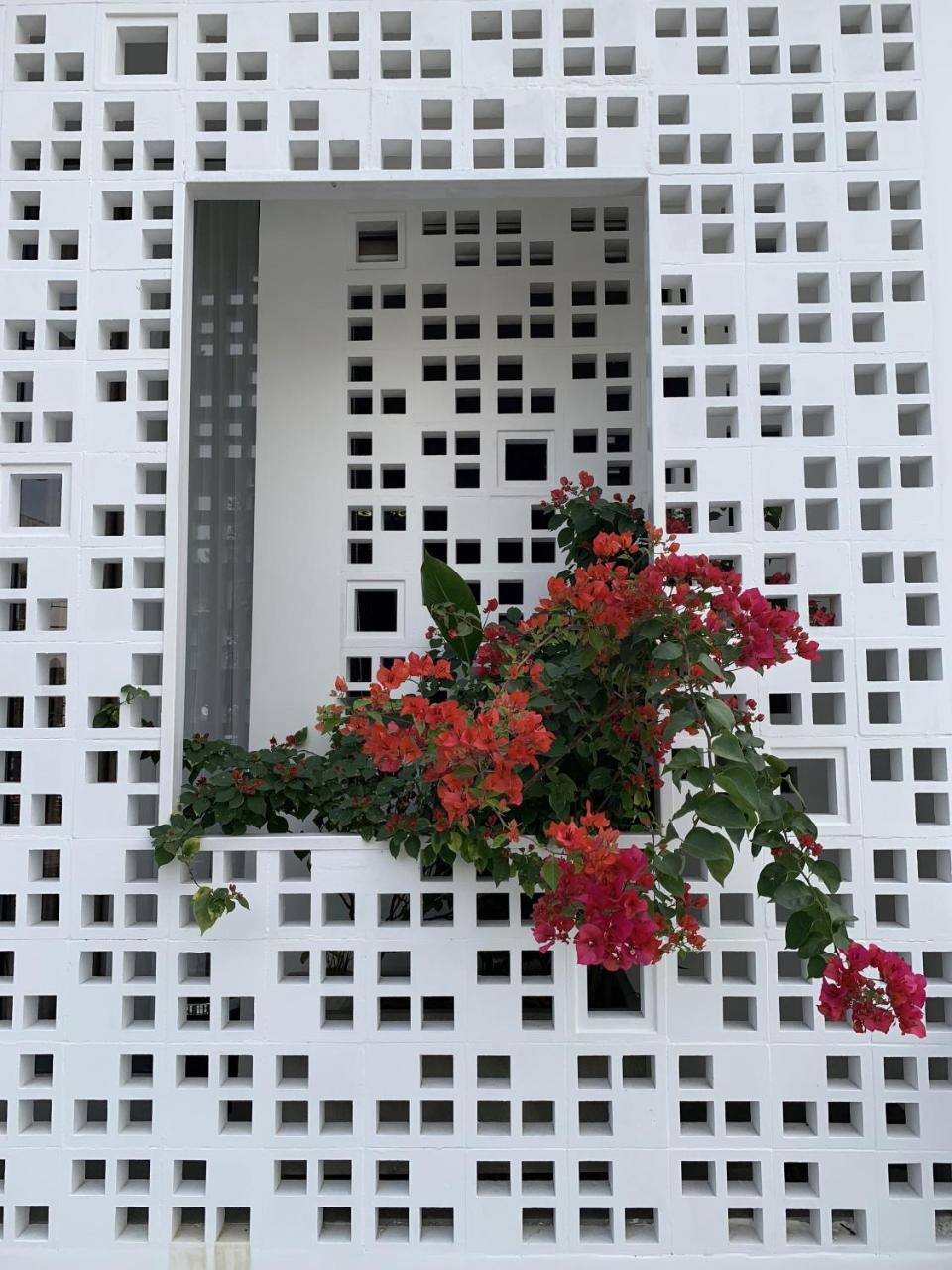 La An Homestay Hoi An Exterior photo